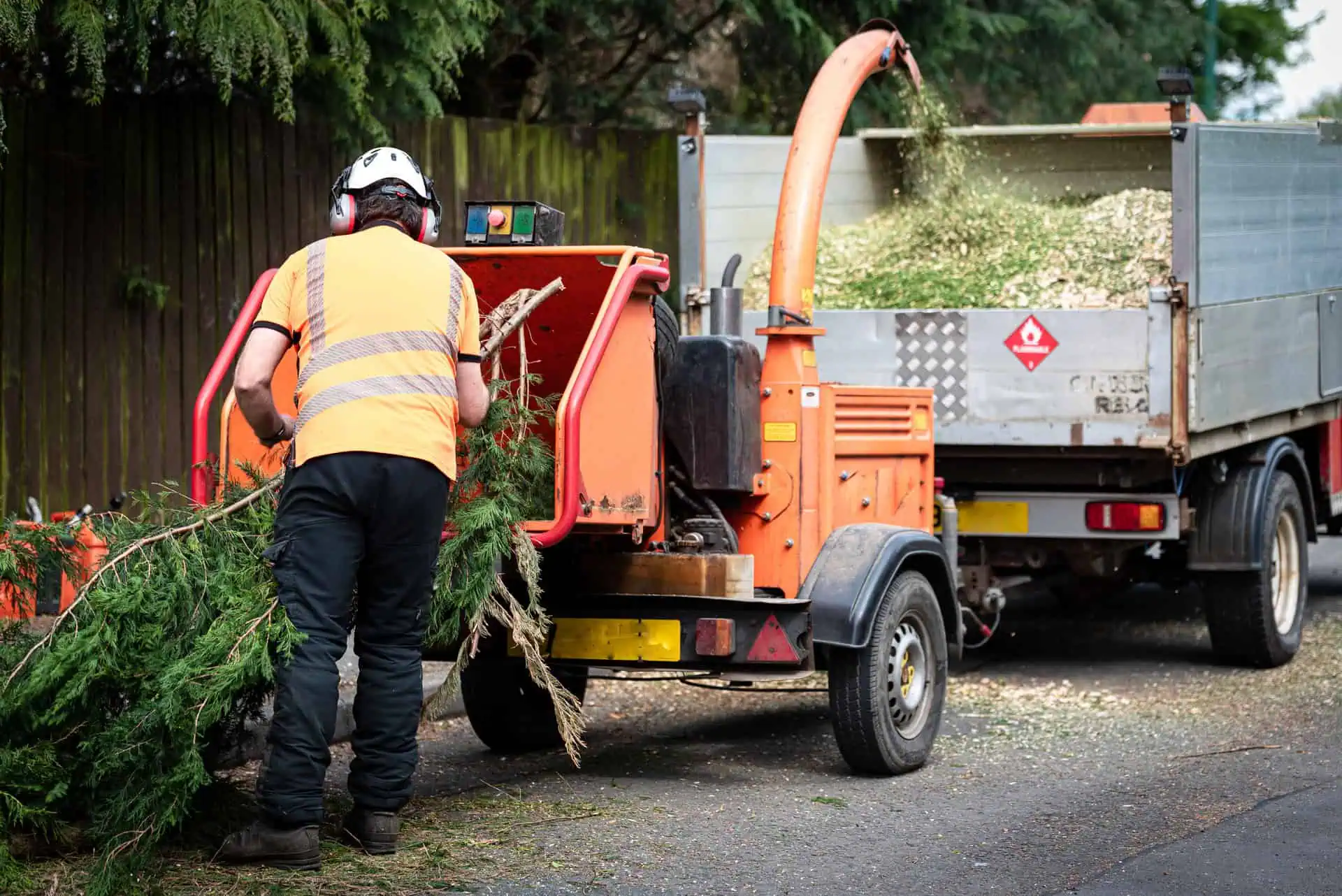 Arborist Insurance Texas