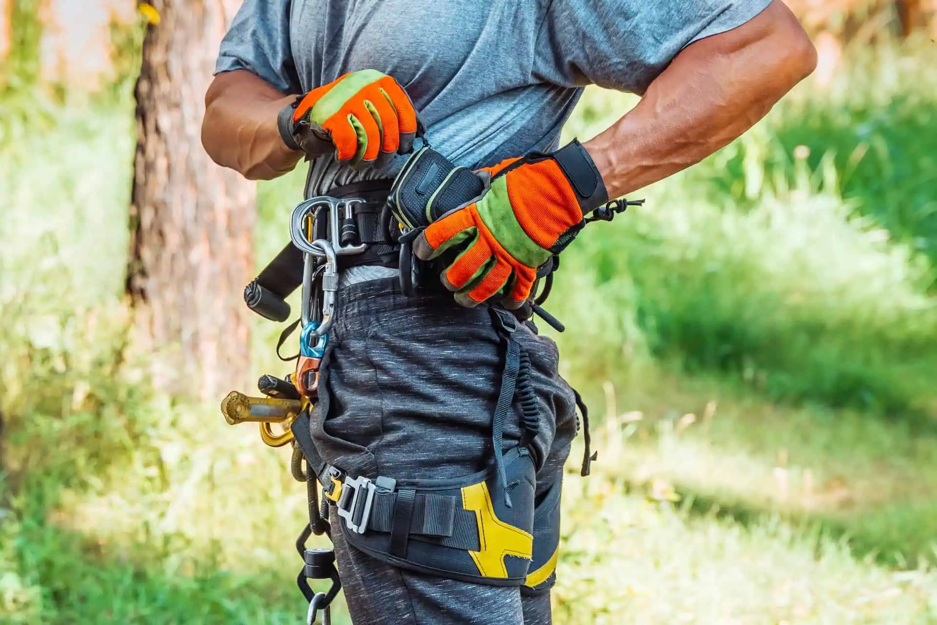 Arborist Insurance Texas
